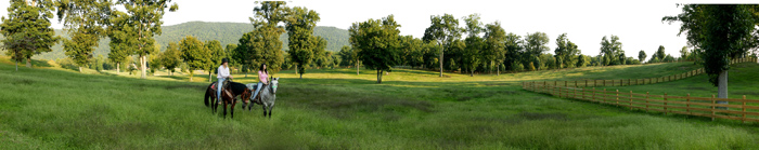 horse pano HR proof
